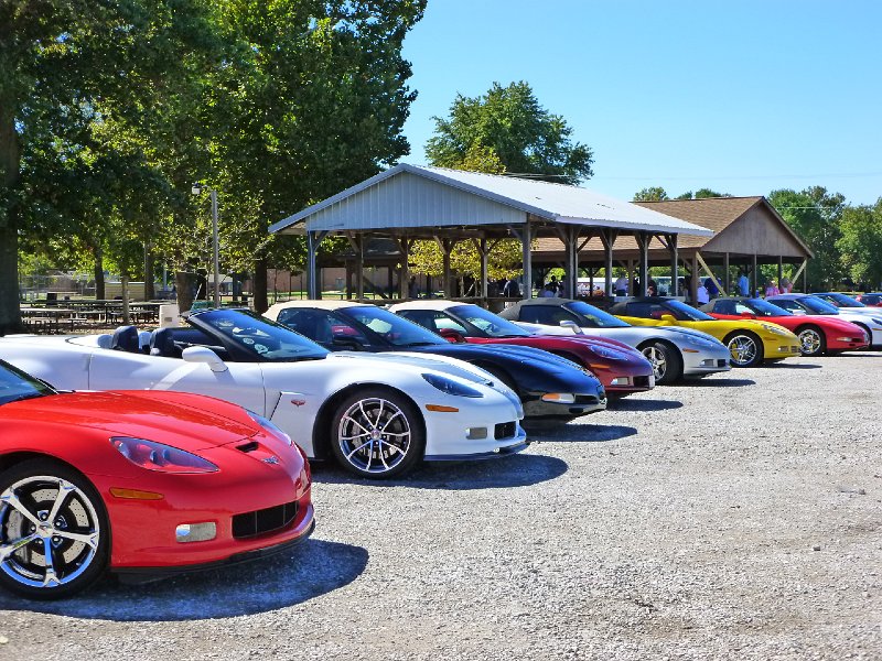 STLCC Picnic Sept 2013 006